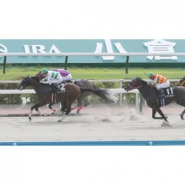 【阿蘇Ｓ】好調・団野のローズスターがＶ