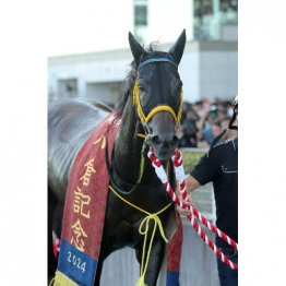 【小倉記念】夏の小倉締めくくりは波乱含みのハンデ戦