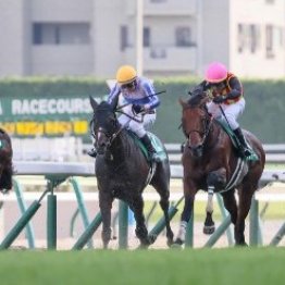 マルガのレコード勝ちをどう考えるか
