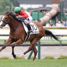 【函館２歳Ｓ】ブラックチャリス決める