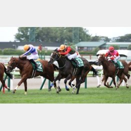20年は函館芝千㍍で新馬勝ちのリンゴアメがV