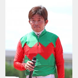 今年はこの勝負服で奮闘している