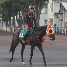 【函館２歳Ｓ】マイオウンウェイ今年も本州デビュー馬が函館２歳王者に