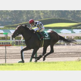 20年は10番人気アールスターが前走⑥着から格上挑戦でV
