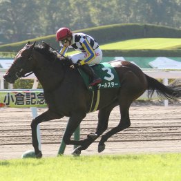 【小倉記念】データ作戦　前走３勝クラス組に要注意