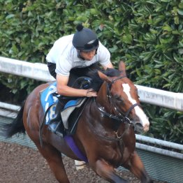 【小倉記念】本格化メリオーレム初重賞取り