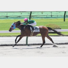 前走の勝ち内容は優秀だった