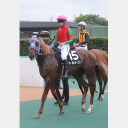 小倉千八で２勝クラスを卒業