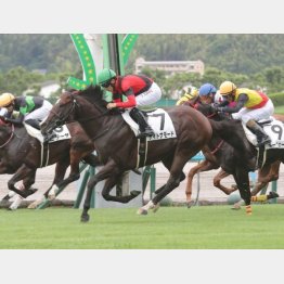 小倉千二は２戦２勝