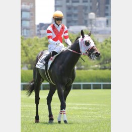 新馬戦は力強い末脚で勝利