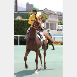 先行激化で差し切るか