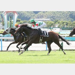 2勝クラス勝ちも夏の小倉