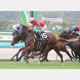 ２勝クラス卒業は小回り小倉だった