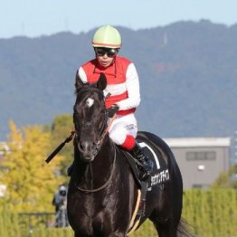 【市川の日曜競馬コラム・小倉記念】