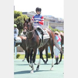 障害初勝利のチャンス