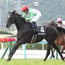 【大谷の日曜競馬コラム・小倉記念】