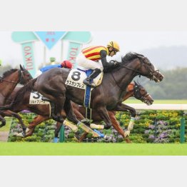 1勝クラス時に稍重で上がり33秒6