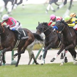 【橘の日曜競馬コラム・小倉記念】