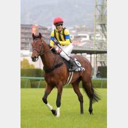前2戦に上昇ムードあり