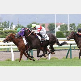 新馬初戦勝ち