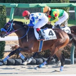 【レスキュー隊の日曜競馬コラム・福島12Ｒ】