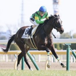 【東京本紙・外山の日曜福島10Ｒ】