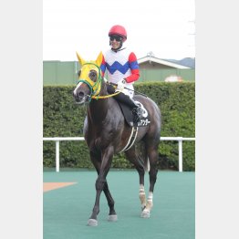 ここもハナを主張