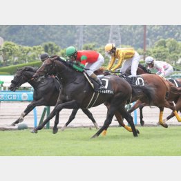 小倉は4戦2勝②着1回(昨年のテレQ杯)
