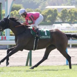 【小倉記念】51㌔イングランドアイズが最軽量ハンデを生かして重賞初制覇