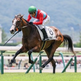 小倉記念勝ちがヌーヴォレコルトの仔なら函館２歳Ｓは快速エイシンルーデンスの孫が逃げ切り