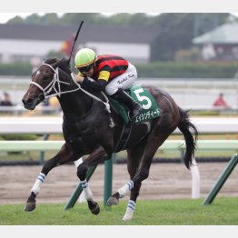 キング騎乗のエイシンディードが2馬身差で逃げ切った