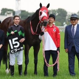【東海Ｓ】ビダーヤ勢いに乗って重賞も