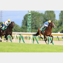昨24年は7枠同士のワン・ツー