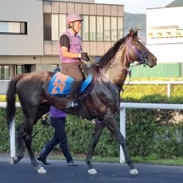 【札幌日経賞】４歳馬シュバルツクーゲル負けられない