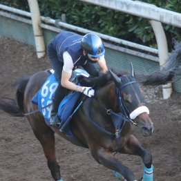 東西２重賞　吉岡厩舎がダブル制覇へ