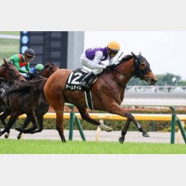 完勝で3勝クラスへ