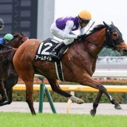 【市川の土曜競馬コラム・新潟日報賞】