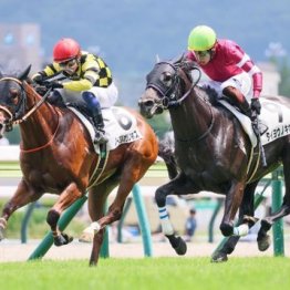 【飯島の土曜競馬コラム・新潟１２Ｒ】