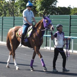 【木津の土曜競馬コラム・札幌５Ｒ】