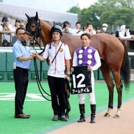 【大谷の土曜競馬コラム・新潟日報賞】