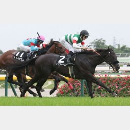 前走で２勝クラスを卒業
