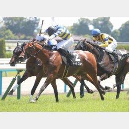 昨年の聖護院特別で２勝クラスを卒業