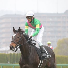【新谷の土曜競馬コラム・関ケ原Ｓ】
