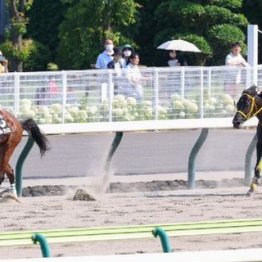 【東京本紙・外山の土曜新潟６Ｒ】
