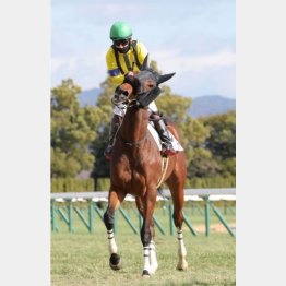 新馬戦以来の勝利を狙う
