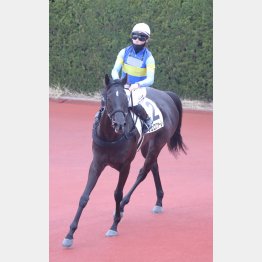 牡馬相手でも主役を張る