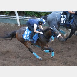 開幕週のスピード勝負ならカナロア産駒