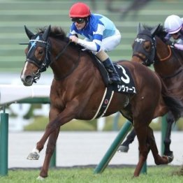 【市川の日曜競馬コラム・関屋記念】