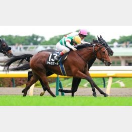 分倍河原Sで3勝クラスを卒業