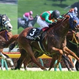 【橘の日曜競馬コラム・東西２重賞】